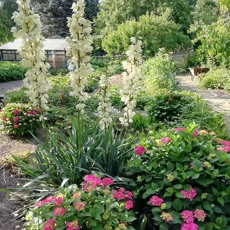 Alloggio per agriturismo Am Kleinbauernhof Bei Kuehlungsborn