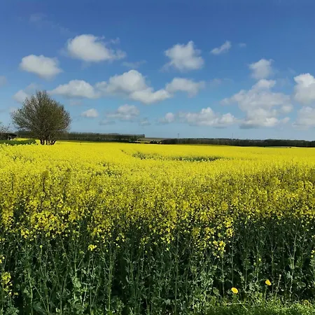 Am Kleinbauernhof Bei Kuehlungsborn *