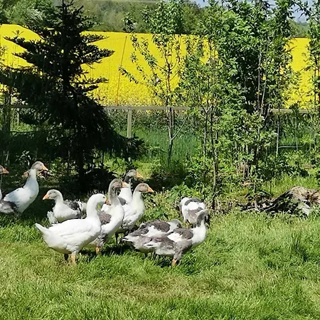 Am Kleinbauernhof Bei Kuehlungsborn Gersdorf (Mecklenburg-Vorpommern)