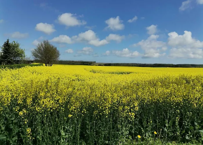 Am Kleinbauernhof Bei Kühlungsborn *